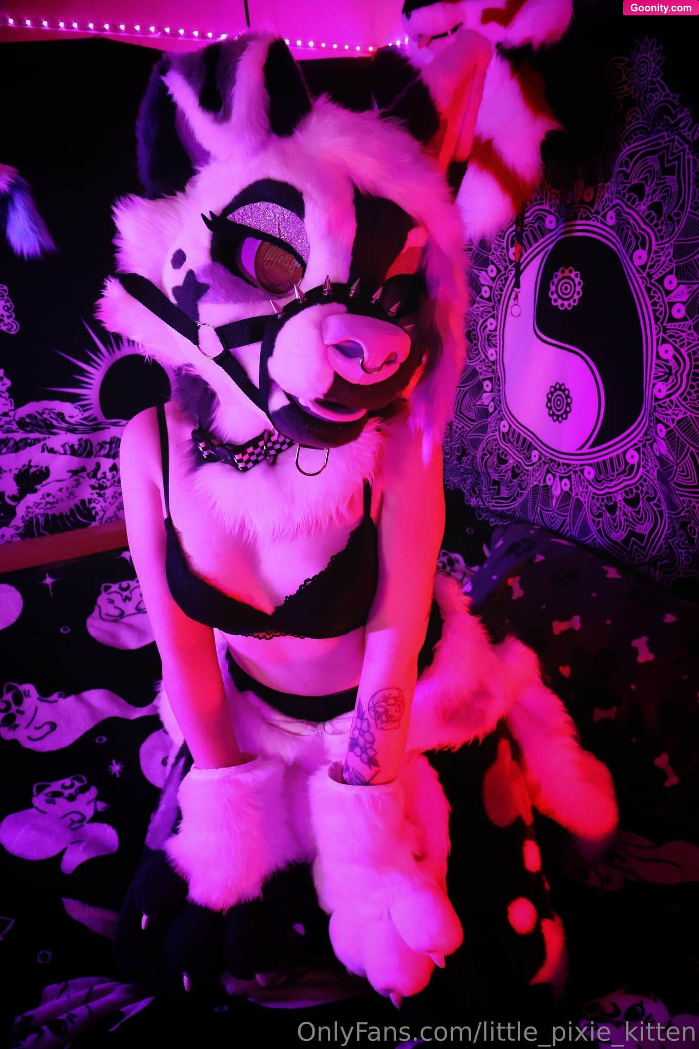lilpixiekitten on OnlyFans - I love how these pictures turned out 🥰