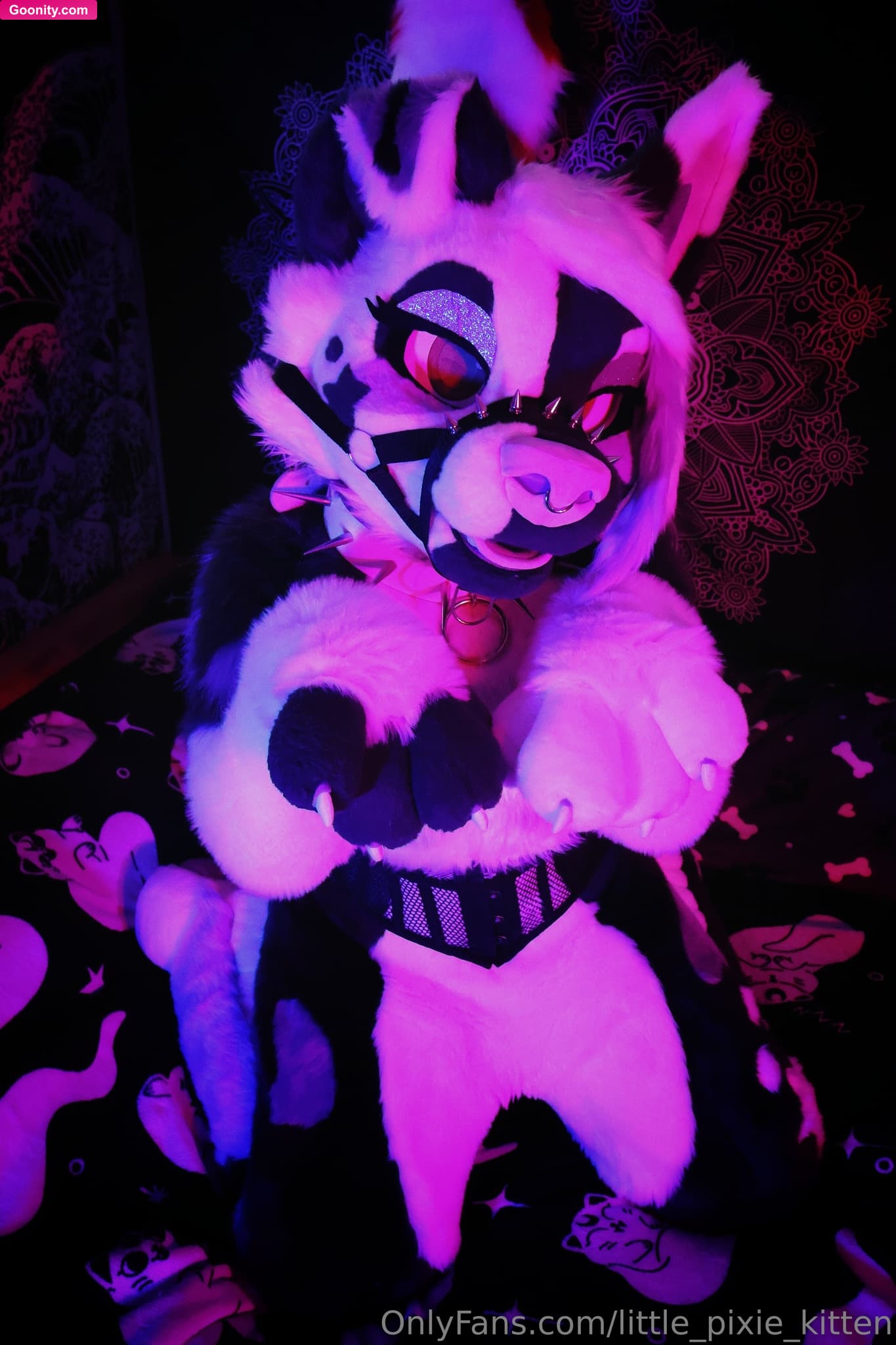 lilpixiekitten on OnlyFans - I took some new pictures last night, the lighting is so nice ♡