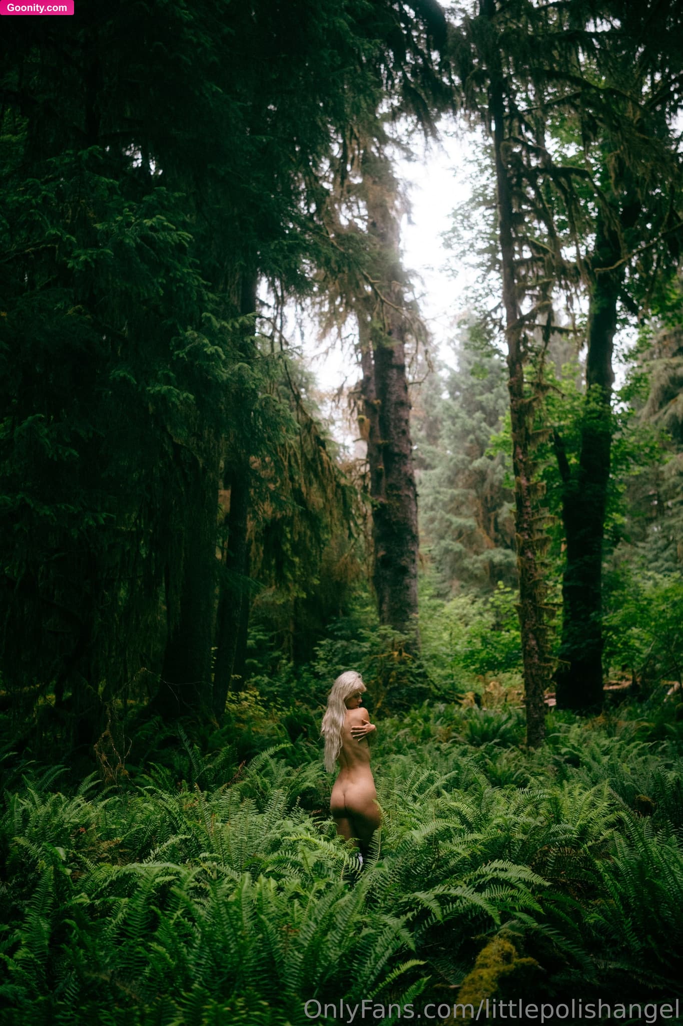 Lena Polanski on OnlyFans - A little bit about my deportation from the USA, along with pictures from my absolute favorite place in the country—the rainforest in Washington State.As some of you know, I did get deported from the USA. It was a really sad experience, and as I’ve mentioned to many of you in private chats, I don’t really want to discuss it since it’s still very traumatic for me. I’m currently in Poland, but I’m about to travel to Africa. I’m not sure if or when I’ll be able to return to the USA. There are so man