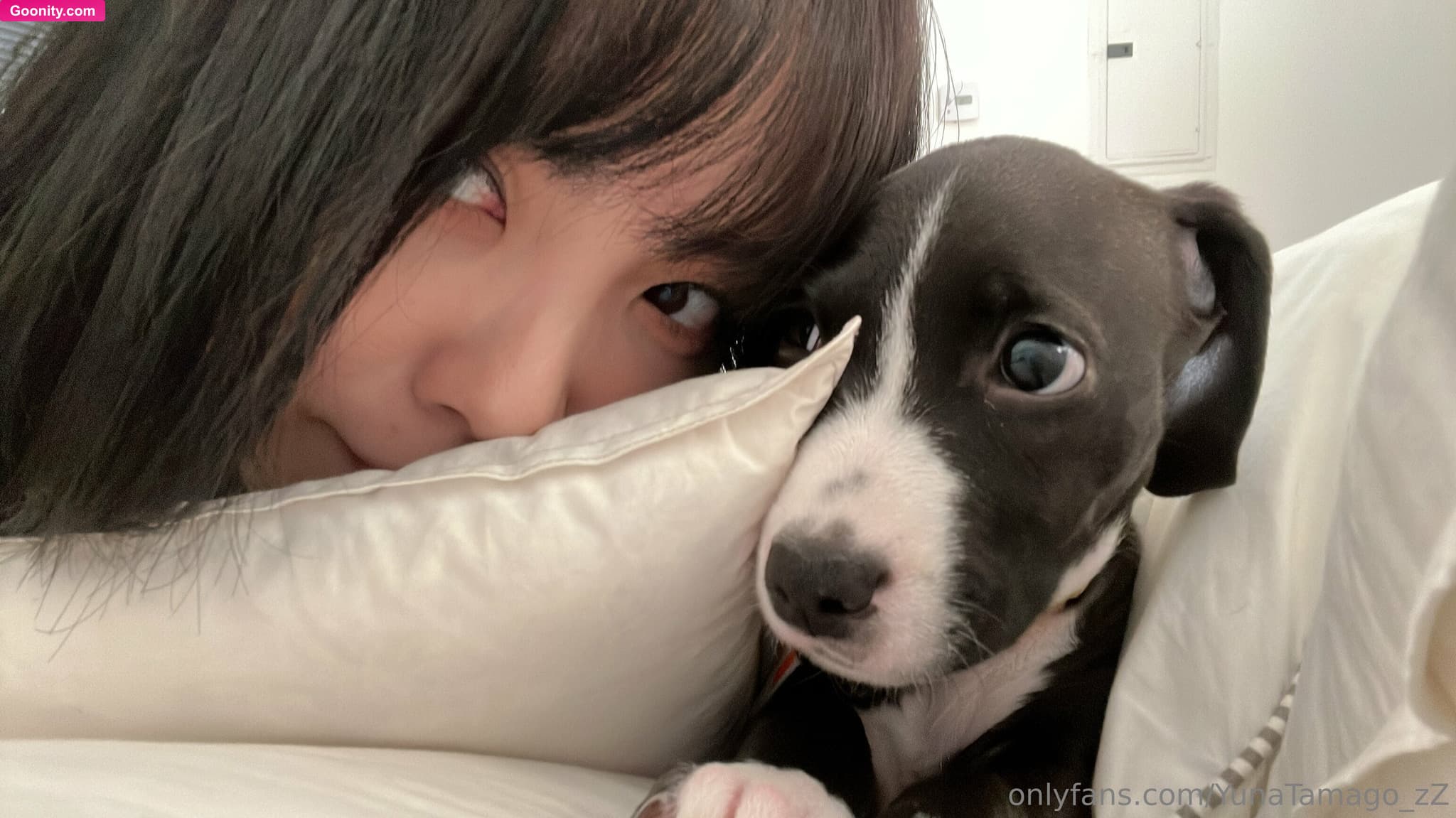 YunaTamago on OnlyFans - Hey I don’t have a video for last week yet but I’ll send it ..