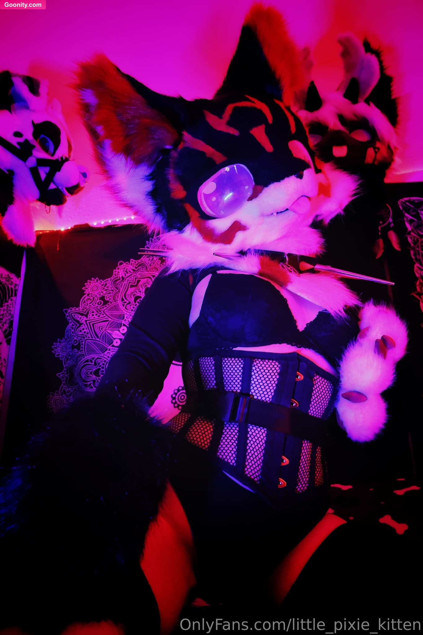 lilpixiekitten on OnlyFans - 🖤♥️