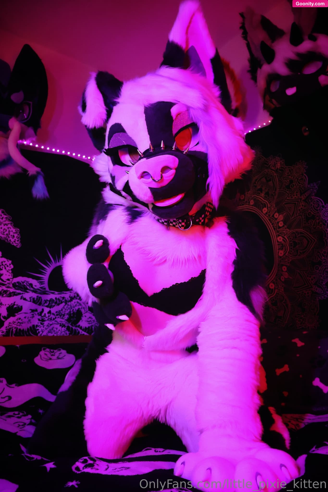 lilpixiekitten on OnlyFans - ♡♡♡
