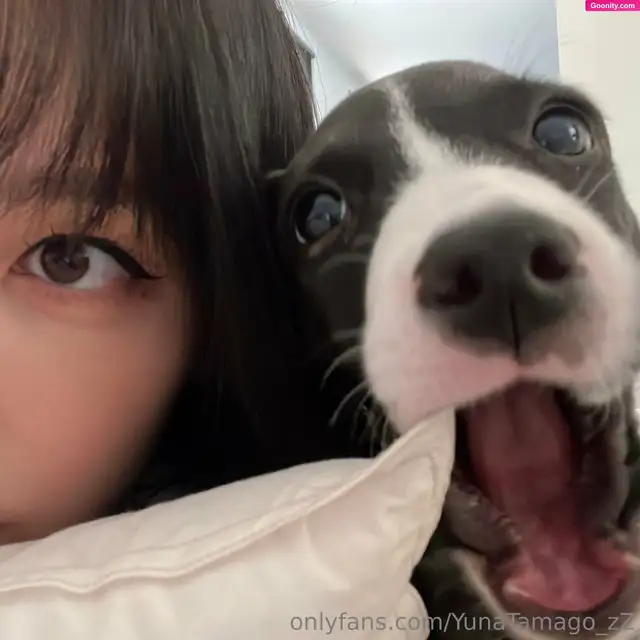 YunaTamago photo 6