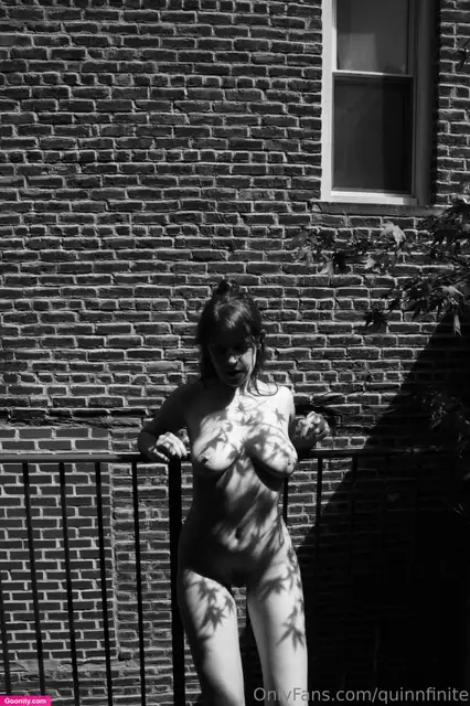 Quinn Finite photo 9