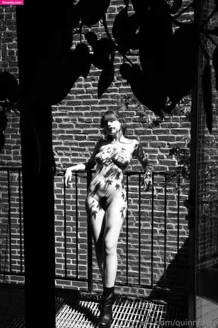 Quinn Finite photo 12