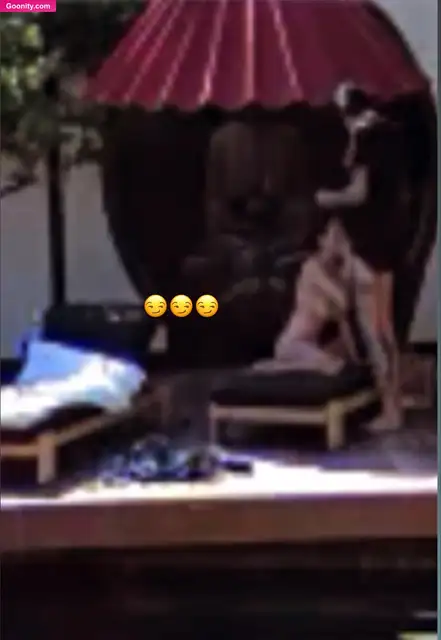 Brittany Furlan photo 194