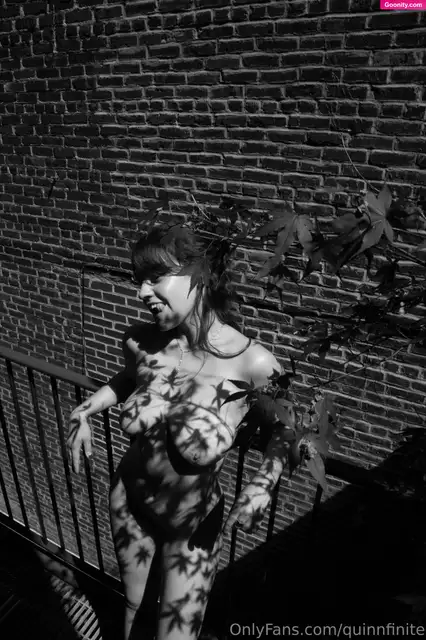 Quinn Finite photo 7