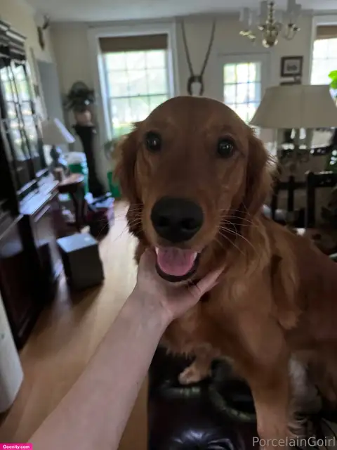 Rosealine photo 39
